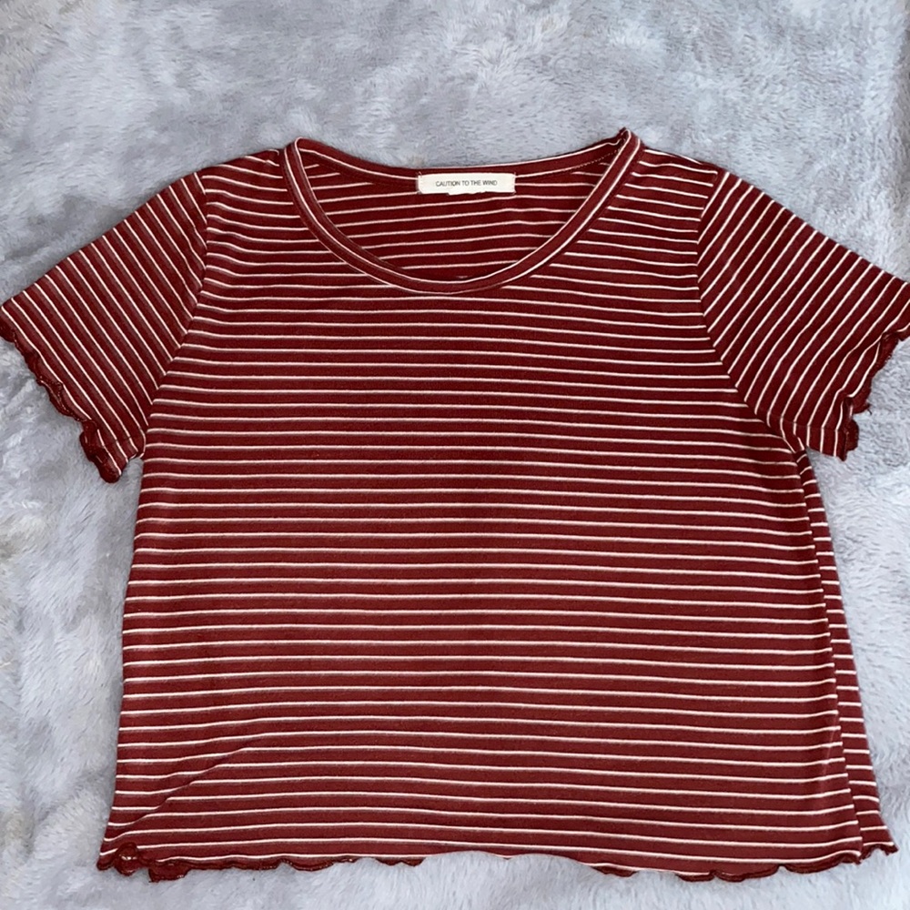 Brick Red Striped Short Crop T-Shirt